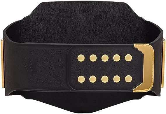 Premium Quality Undisputed Championship Title Belt Replica, World Heavyweight Wrestling Championship Title Belt - Adult Size